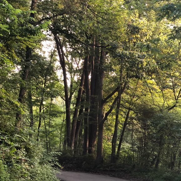 Starbucks tumbler - Picture 5 of 5